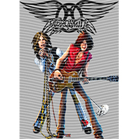 idol singer-GS  1254